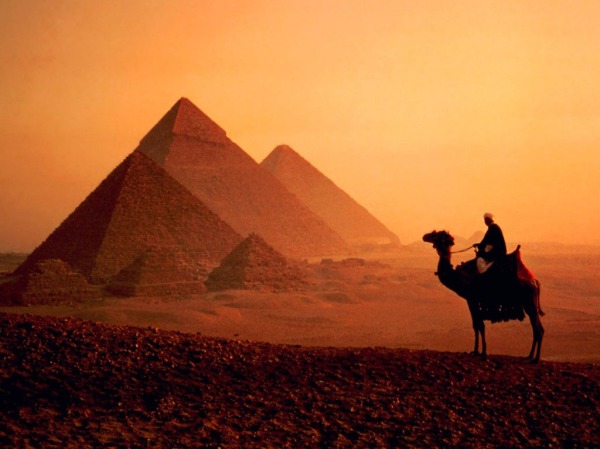 Misir-piramitleri-deve